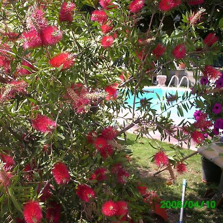 B&B Desenzano Desenzano del Garda Exterior foto